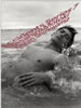 書籍「篠山紀信+本木雅弘 写真集 Accidents Series7」