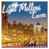 VAuLight Mellow Covers-Twinklev